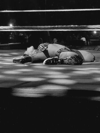 Zelina Vega