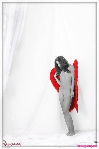 Uncategorized